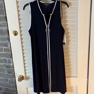 Everly Navy and White Dress